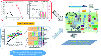 Graphical abstract: Enhancing the anode performance of microbial fuel cells in the treatment of oil-based drill sludge by adjusting the stirring rate and supplementing oil-based drill cuttings