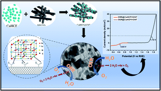 Graphical abstract: Strong metal–support interaction in copper hexacyanoferrate nanocube decorated functionalized multiwall carbon nanotubes for enhanced bi-functional oxygen electrocatalytic activity and stability
