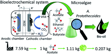 Graphical abstract: Carbon dioxide to bio-oil in a bioelectrochemical system-assisted microalgae biorefinery process