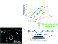 Graphical abstract: Electrochemically promoted ammonia synthesis on an Fe/BaZr0.8Y0.2O3−δ catalyst at ambient pressure