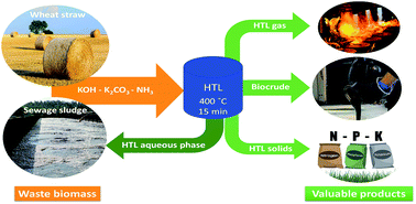 Graphical abstract: Co-liquefaction of sewage sludge with wheat straw in supercritical water – potential for integrating hydrothermal liquefaction with wastewater treatment plants