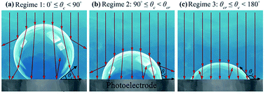 Graphical abstract: How do bubbles affect light absorption in photoelectrodes for solar water splitting?