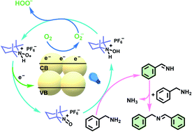 Graphical abstract: Visible light-initiated aerobic oxidation of amines to imines over TiO2 microspheres with TEMPO+PF6−