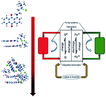 Graphical abstract: Noncovalent interactions induced self-association in anthraquinone-iron aqueous redox flow batteries