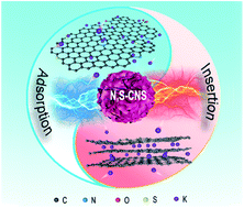 Graphical abstract: Evolution of “adsorption–insertion” K+ storage behaviors in flower-like carbons with tunable heteroatom doping and graphitic structures