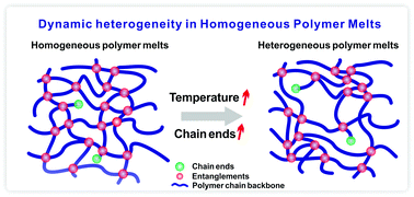 Graphical abstract: Dynamic heterogeneity in homogeneous polymer melts