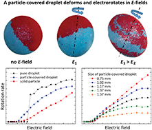 Graphical abstract: Electrorotation of particle-coated droplets: from fundamentals to applications