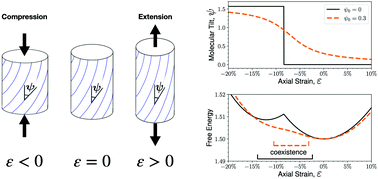 Graphical abstract: Chiral phase-coexistence in compressed double-twist elastomers