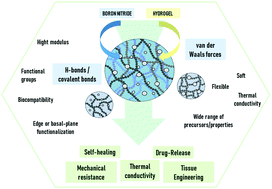 Graphical abstract: Boron nitride-based nanocomposite hydrogels: preparation, properties and applications