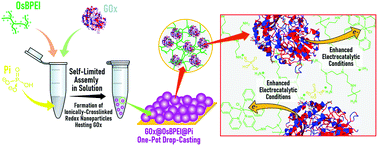 Graphical abstract: Enzymes hosted in redox-active ionically cross-linked polyelectrolyte networks enable more efficient biofuel cells