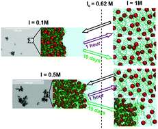 Graphical abstract: The desalting/salting pathway: a route to form metastable aggregates with tuneable morphologies and lifetimes