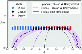 Graphical abstract: Machine learning for phase behavior in active matter systems