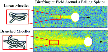 Graphical abstract: Linear versus branched: flow of a wormlike micellar fluid past a falling sphere