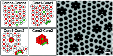 Graphical abstract: Collapse-induced phase transitions in binary interfacial microgel monolayers