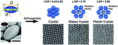 Graphical abstract: Self-assembly of shape-tunable oblate colloidal particles into orientationally ordered crystals, glassy crystals and plastic crystals