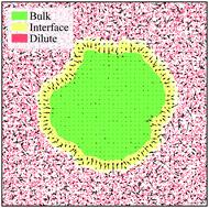 Graphical abstract: Phase behavior and surface tension of soft active Brownian particles