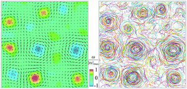 Graphical abstract: Persistence length regulates emergent dynamics in active roller ensembles