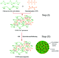 Graphical abstract: Soft solution in situ synthesis of chitosan/iron oxide nanocomposites and their magnetic properties