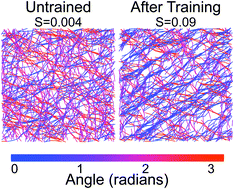 Graphical abstract: Actin filament alignment causes mechanical hysteresis in cross-linked networks