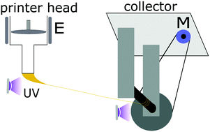 Graphical abstract: Continuous spinning aligned liquid crystal elastomer fibers with a 3D printer setup