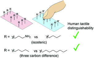 Graphical abstract: Predicting human touch sensitivity to single atom substitutions in surface monolayers for molecular control in tactile interfaces