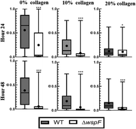 Graphical abstract: Effect of collagen and EPS components on the viscoelasticity of Pseudomonas aeruginosa biofilms