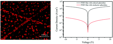 Graphical abstract: Controlling the organization and stretchability of poly(3-butylthiophene) spherulites