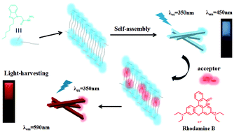 Graphical abstract: A new strategy for constructing artificial light-harvesting systems: supramolecular self-assembly gels with AIE properties