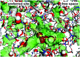 Graphical abstract: Dynamic behaviour of water molecules in heterogeneous free space formed in an epoxy resin