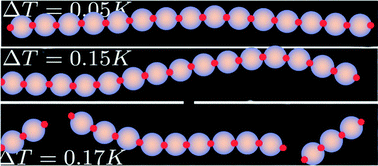 Graphical abstract: Revealing viscoelastic bending relaxation dynamics of isolated semiflexible colloidal polymers