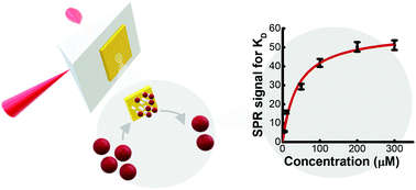 Graphical abstract: Surface plasmon resonance study for a reliable determination of the affinity constant of multivalent grafted beads
