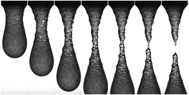 Graphical abstract: Droplet detachment and pinch-off of bidisperse particulate suspensions