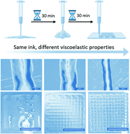 Graphical abstract: 3D-Reactive printing of engineered alginate inks