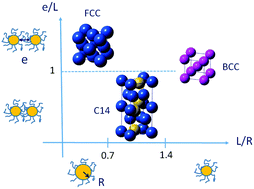 Graphical abstract: Softness-driven complexity in supercrystals of gold nanoparticles