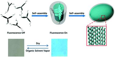 Graphical abstract: Self-assembly of propeller-shaped amphiphilic molecules: control over the supramolecular morphology and photoproperties of their aggregates