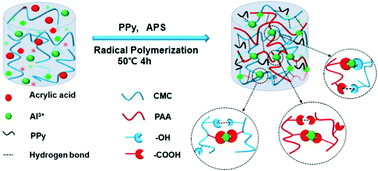 Graphical abstract: Polypyrrole-doped conductive self-healing multifunctional composite hydrogels with a dual crosslinked network