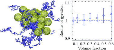 Graphical abstract: Insights from modeling into structure, entanglements, and dynamics in attractive polymer nanocomposites