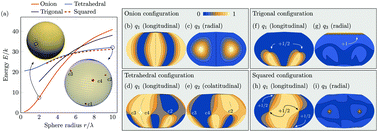 Graphical abstract: Nematic shells: new insights in topology- and curvature-induced effects