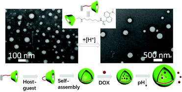 Graphical abstract: Construction of a pH-sensitive self-assembly in aqueous solutions based on a dansyl-modified β-cyclodextrin