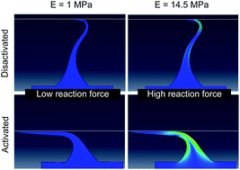 Graphical abstract: Amplification factor in shear-activated adhesives: effect of elasticity
