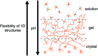 Graphical abstract: Understanding gel-to-crystal transitions in supramolecular gels