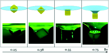 Graphical abstract: Effect of gravity on the orientation and detachment of cubic particles adsorbed at soap film or liquid interfaces