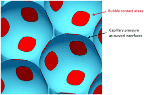 Graphical abstract: Capillary pressure, osmotic pressure and bubble contact areas in foams