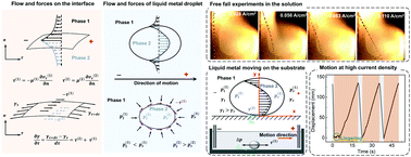 Graphical abstract: A new hydrodynamic interpretation of liquid metal droplet motion induced by an electrocapillary phenomenon