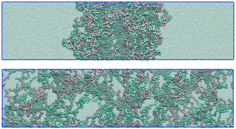 Graphical abstract: A simple simulation model for complex coacervates