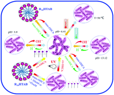 Graphical abstract: A pH, thermal and light triple-stimuli responsive micellar solution formed by a cationic surfactant and trans-o-hydroxycinnamic acid