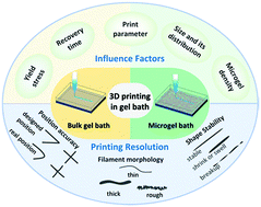 Graphical abstract: Resolution of 3D bioprinting inside bulk gel and granular gel baths