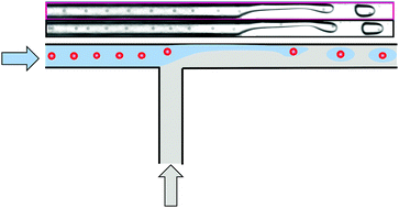 Graphical abstract: Controlled viscoelastic particle encapsulation in microfluidic devices