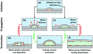Graphical abstract: Blistering failure of elastic coatings with applications to corrosion resistance