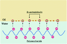 Graphical abstract: Complexes of β-lactoglobulin and high methyl-esterified pectin as a one-shot delivery system for reinforcing oil/water interfaces